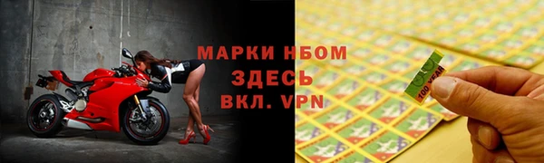 стаф Новозыбков