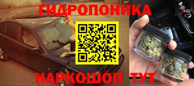ГАЛЛЮЦИНОГЕННЫЕ ГРИБЫ Гусев