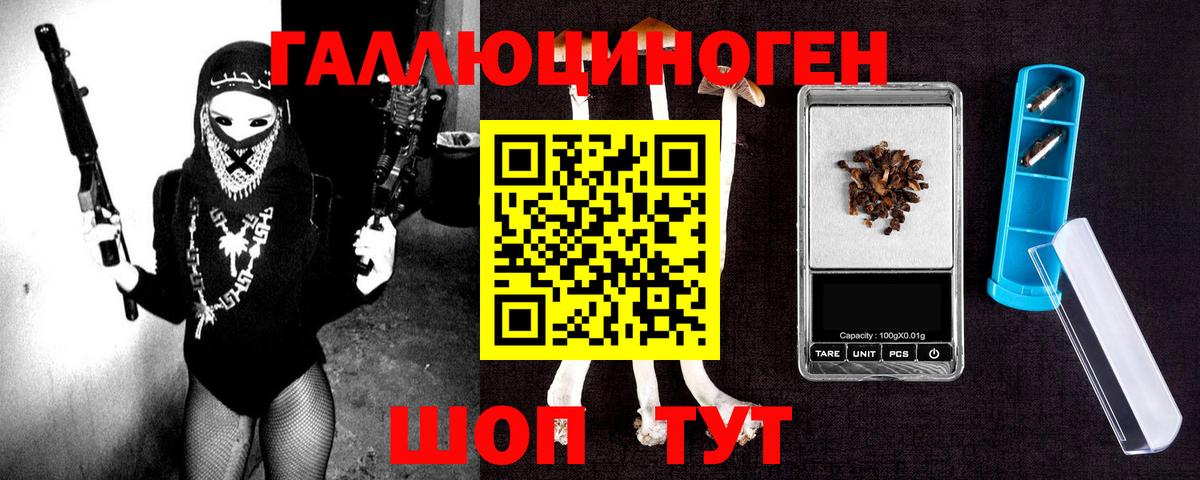 Галлюциногенные грибы Psilocybine cubensis  Кубинка  Галлюциногенные грибы Cubensis 